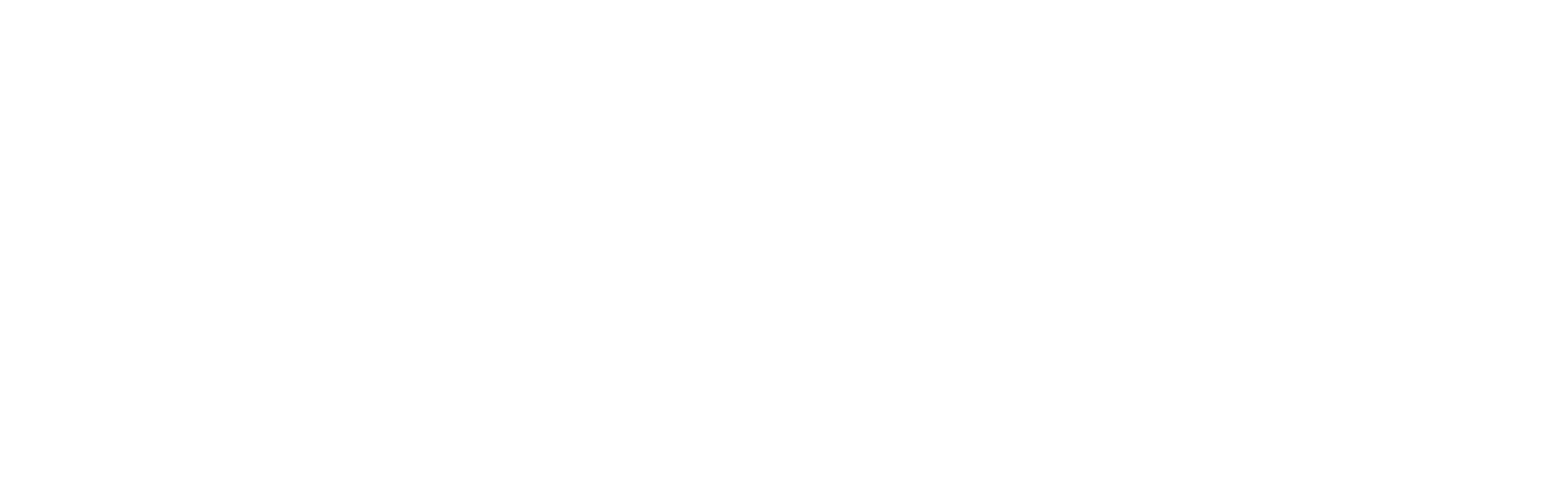 Cenyca logo